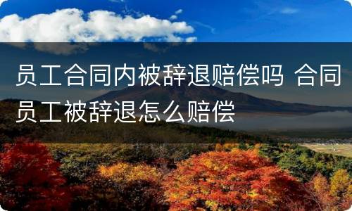 员工合同内被辞退赔偿吗 合同员工被辞退怎么赔偿