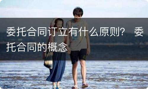 委托合同订立有什么原则？ 委托合同的概念