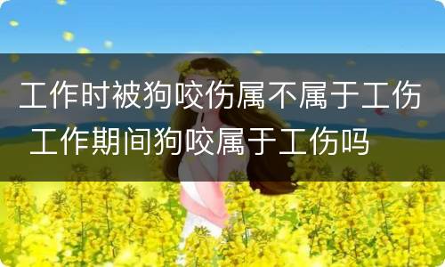 工作时被狗咬伤属不属于工伤 工作期间狗咬属于工伤吗