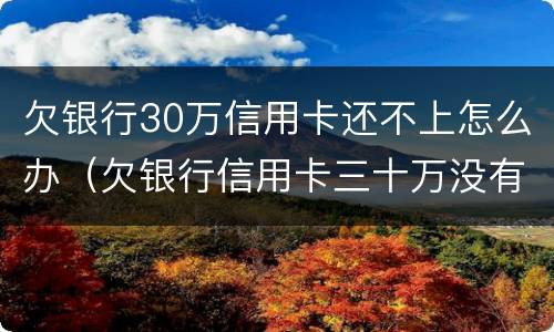 欠银行30万信用卡还不上怎么办（欠银行信用卡三十万没有钱还怎么为）