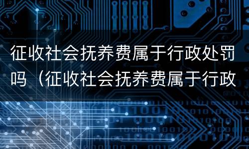 征收社会抚养费属于行政处罚吗（征收社会抚养费属于行政处罚吗为什么）