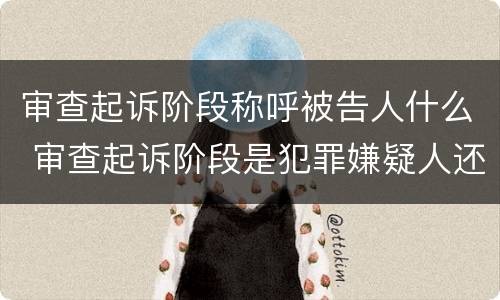 审查起诉阶段称呼被告人什么 审查起诉阶段是犯罪嫌疑人还是被告人