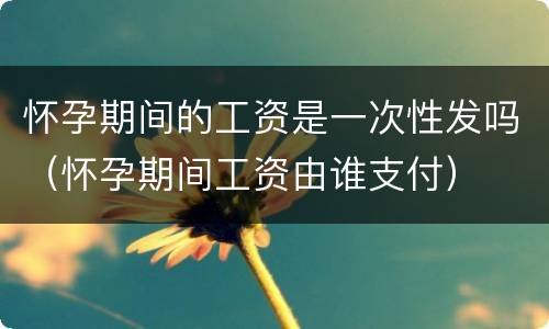 怀孕期间的工资是一次性发吗（怀孕期间工资由谁支付）