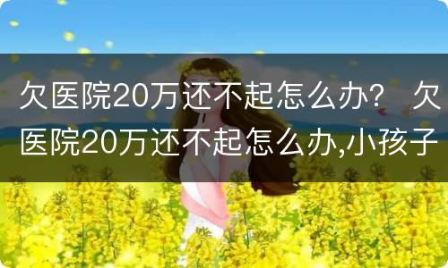 欠医院20万还不起怎么办？ 欠医院20万还不起怎么办,小孩子一直靠呼吸机保命