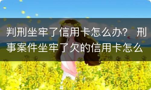 判刑坐牢了信用卡怎么办？ 刑事案件坐牢了欠的信用卡怎么办