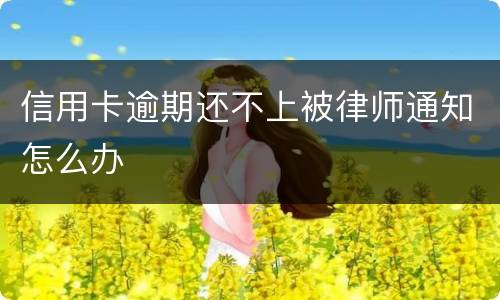 信用卡逾期还不上被律师通知怎么办