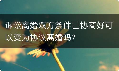 诉讼离婚双方条件已协商好可以变为协议离婚吗？