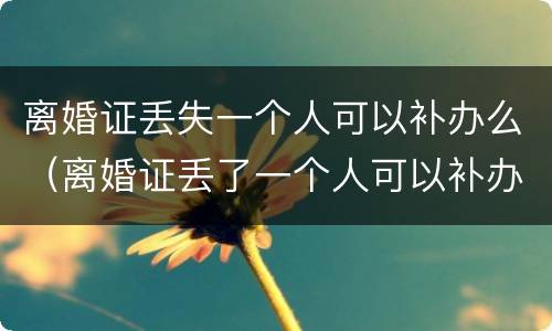 离婚证丢失一个人可以补办么（离婚证丢了一个人可以补办吗）