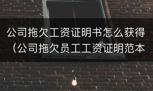 公司拖欠工资证明书怎么获得（公司拖欠员工工资证明范本）
