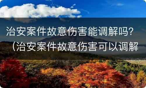 治安案件故意伤害能调解吗？（治安案件故意伤害可以调解吗）