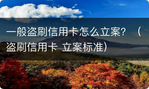 一般盗刷信用卡怎么立案？（盗刷信用卡 立案标准）