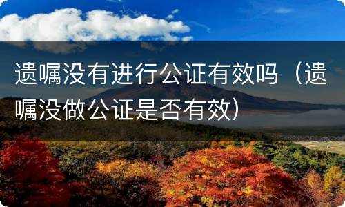 遗嘱没有进行公证有效吗（遗嘱没做公证是否有效）