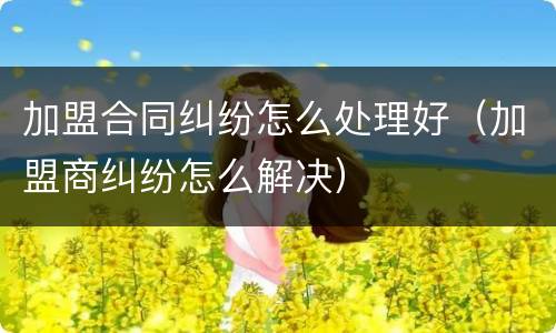 加盟合同纠纷怎么处理好（加盟商纠纷怎么解决）