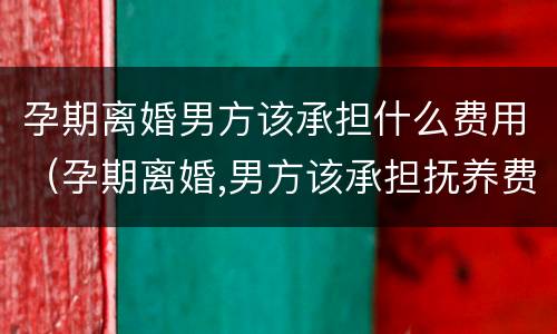 孕期离婚男方该承担什么费用（孕期离婚,男方该承担抚养费吗）