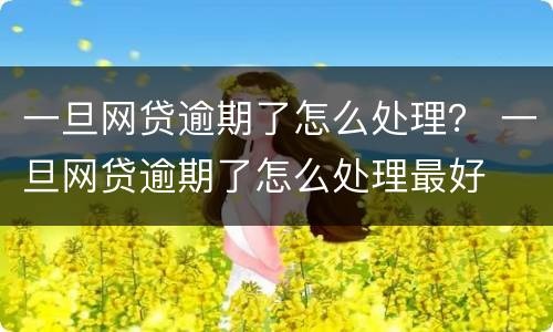一旦网贷逾期了怎么处理？ 一旦网贷逾期了怎么处理最好