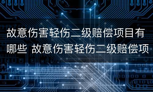 故意伤害轻伤二级赔偿项目有哪些 故意伤害轻伤二级赔偿项目有哪些标准