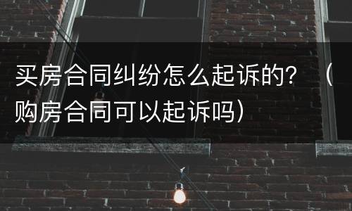 买房合同纠纷怎么起诉的？（购房合同可以起诉吗）