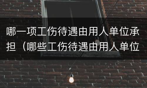 哪一项工伤待遇由用人单位承担（哪些工伤待遇由用人单位支付）