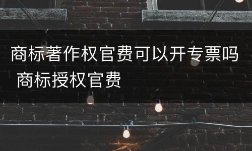 商标著作权官费可以开专票吗 商标授权官费