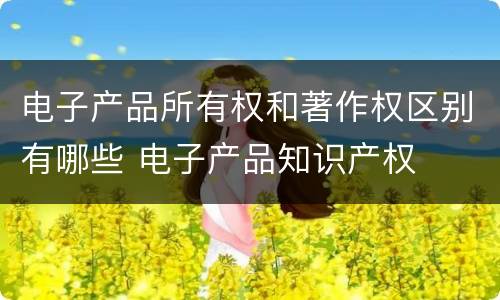 电子产品所有权和著作权区别有哪些 电子产品知识产权