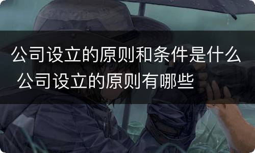 公司设立的原则和条件是什么 公司设立的原则有哪些