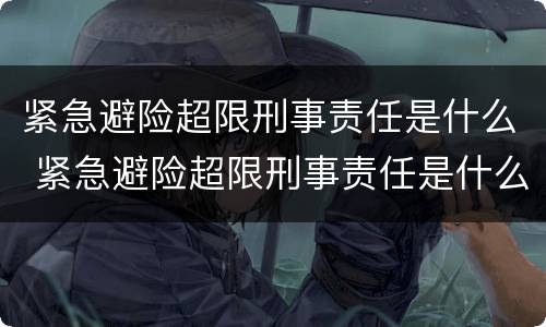 紧急避险超限刑事责任是什么 紧急避险超限刑事责任是什么意思