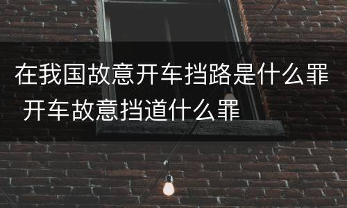 在我国故意开车挡路是什么罪 开车故意挡道什么罪
