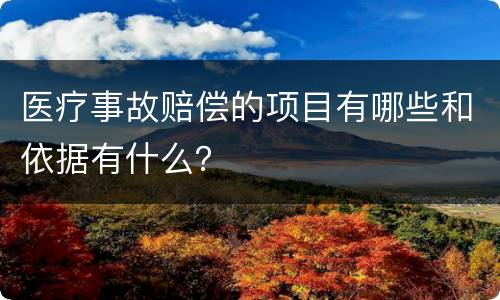 医疗事故赔偿的项目有哪些和依据有什么？