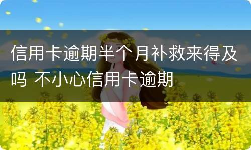 信用卡逾期半个月补救来得及吗 不小心信用卡逾期