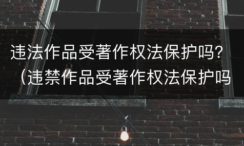 违法作品受著作权法保护吗？（违禁作品受著作权法保护吗）
