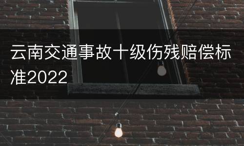 云南交通事故十级伤残赔偿标准2022
