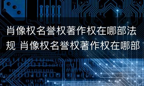 肖像权名誉权著作权在哪部法规 肖像权名誉权著作权在哪部法规里