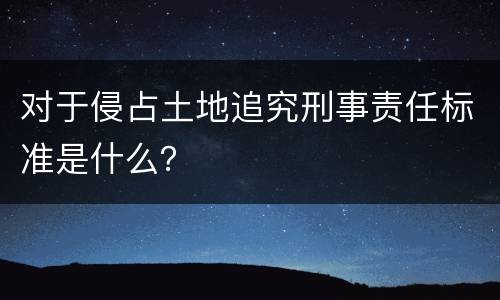 对于侵占土地追究刑事责任标准是什么？