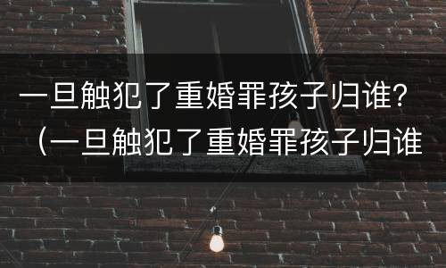 一旦触犯了重婚罪孩子归谁？（一旦触犯了重婚罪孩子归谁抚养）