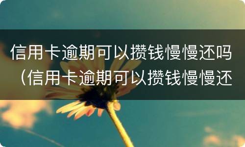 信用卡逾期可以攒钱慢慢还吗（信用卡逾期可以攒钱慢慢还吗）