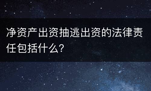 净资产出资抽逃出资的法律责任包括什么？