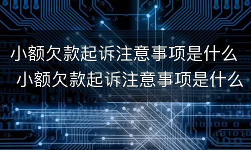 小额欠款起诉注意事项是什么 小额欠款起诉注意事项是什么意思
