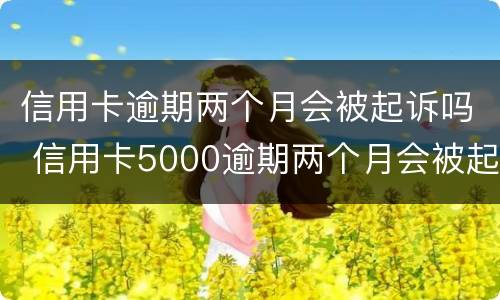 信用卡逾期两个月会被起诉吗 信用卡5000逾期两个月会被起诉吗