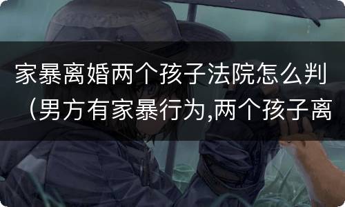 家暴离婚两个孩子法院怎么判（男方有家暴行为,两个孩子离婚怎么判）