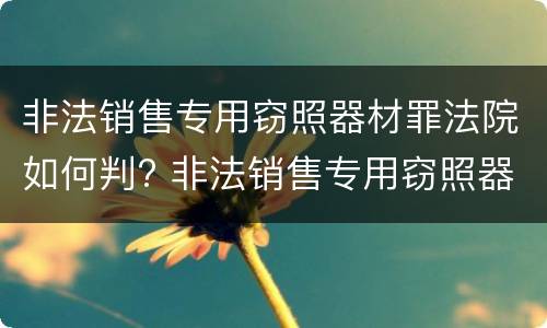 非法销售专用窃照器材罪法院如何判? 非法销售专用窃照器材罪法院如何判定