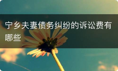 宁乡夫妻债务纠纷的诉讼费有哪些
