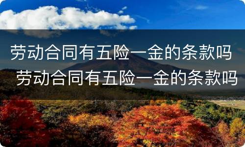 劳动合同有五险一金的条款吗 劳动合同有五险一金的条款吗怎么写
