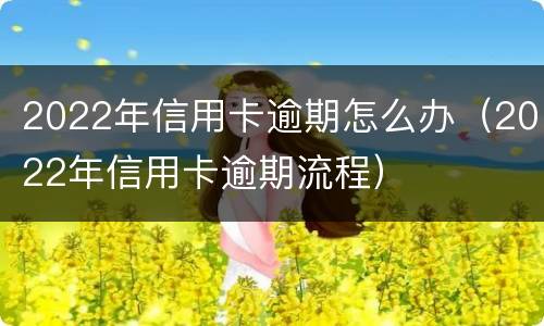 2022年信用卡逾期怎么办（2022年信用卡逾期流程）