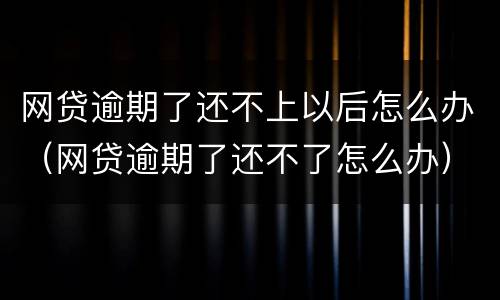 网贷逾期了还不上以后怎么办（网贷逾期了还不了怎么办）