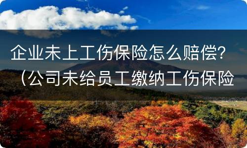 企业未上工伤保险怎么赔偿？（公司未给员工缴纳工伤保险,发生工伤事故怎么赔偿）