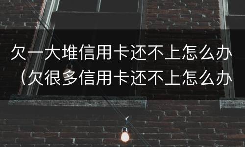 欠一大堆信用卡还不上怎么办（欠很多信用卡还不上怎么办）
