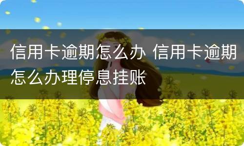 信用卡逾期怎么办 信用卡逾期怎么办理停息挂账