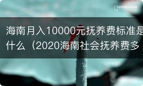 海南月入10000元抚养费标准是什么（2020海南社会抚养费多少钱）