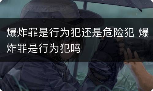 爆炸罪是行为犯还是危险犯 爆炸罪是行为犯吗