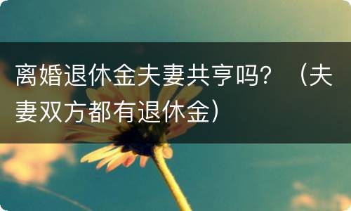 离婚退休金夫妻共亨吗？（夫妻双方都有退休金）